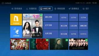 虎帅最新爆料新闻直播,最新爆料新闻直播精彩瞬间