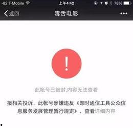 免费吃瓜网站公众号,公众号带你畅享海量娱乐资讯