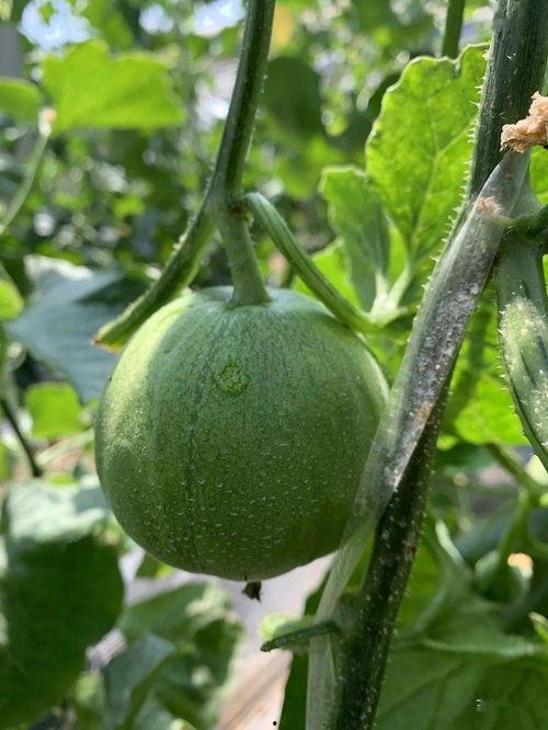 吃瓜娱乐公司,揭秘娱乐圈幕后那些事儿