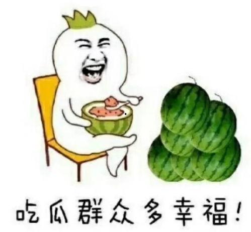 娱乐圈去哪里吃瓜