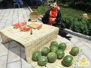 搞笑娱乐吃瓜图片大全集