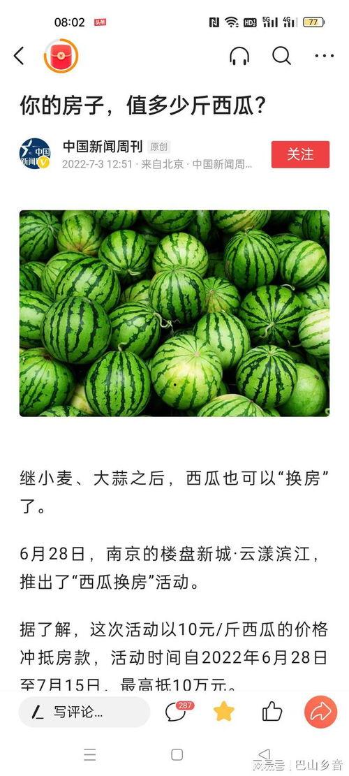 免费吃瓜官网,揭秘网络娱乐新潮流,畅享无界限的趣味盛宴
