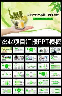 娱乐吃瓜酱ppt排版