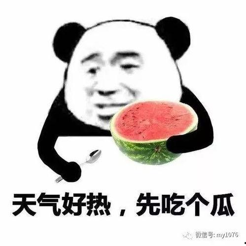 娱乐718吃瓜速看天气