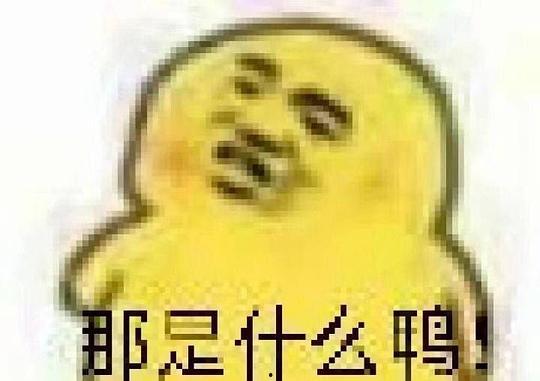 吃瓜表情说明什么,揭秘网络社交中的窥探与娱乐
